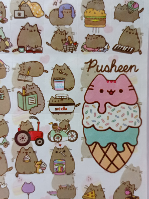 Calcomanía de pusheen Kolbox LolaPay