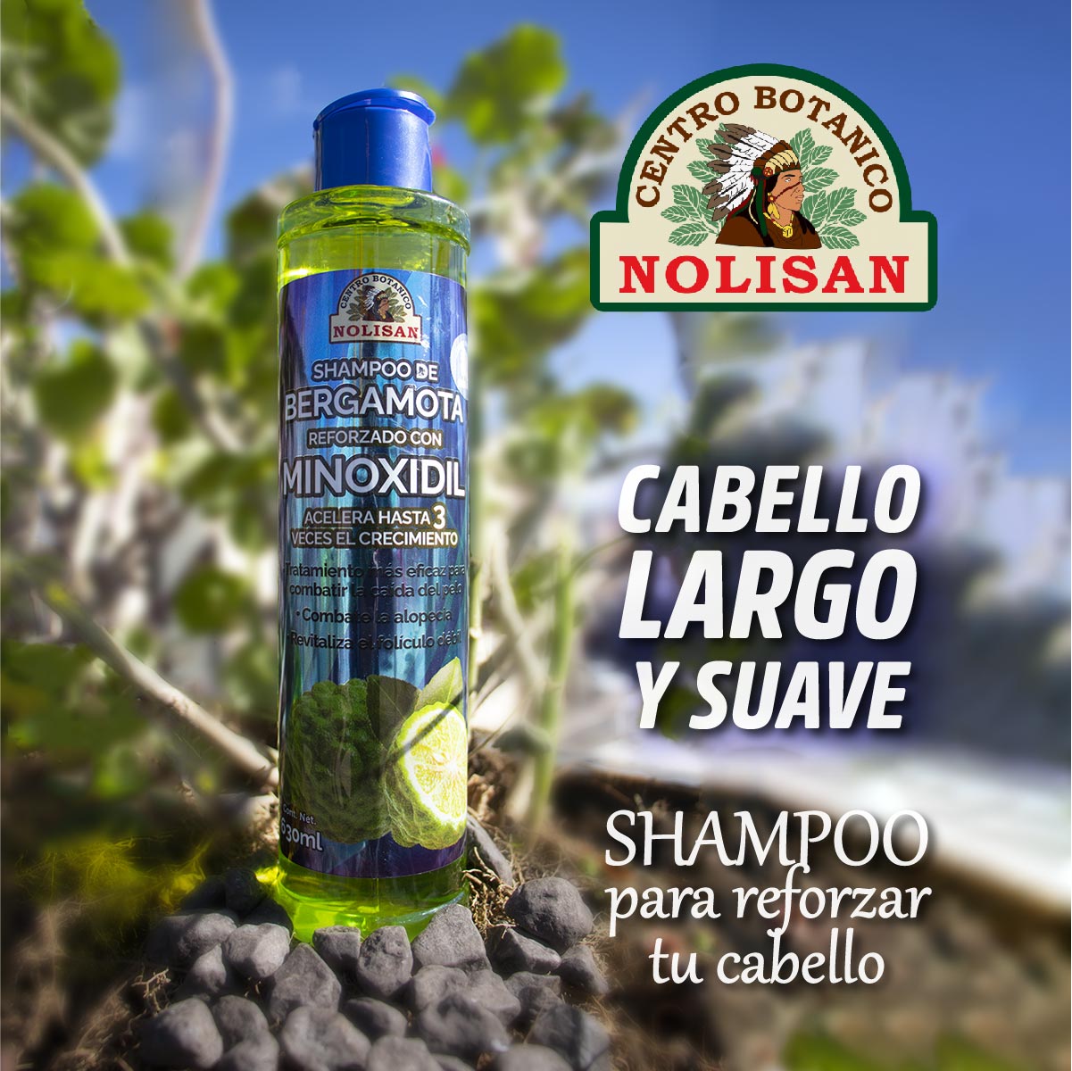 Álbumes 91+ Foto Shampoo De Bergamota Con Minoxidil Shelo Nabel El último