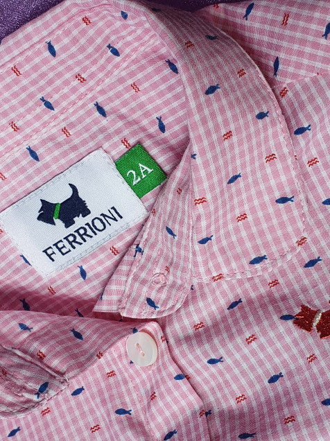 Camisa ferrioni online